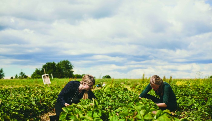 Seasonal workforce accommodation